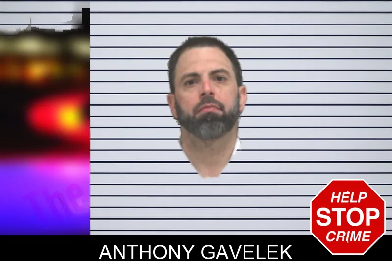 Anthony Gavelek mugshot