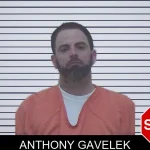 Anthony Gavelek mugshot
