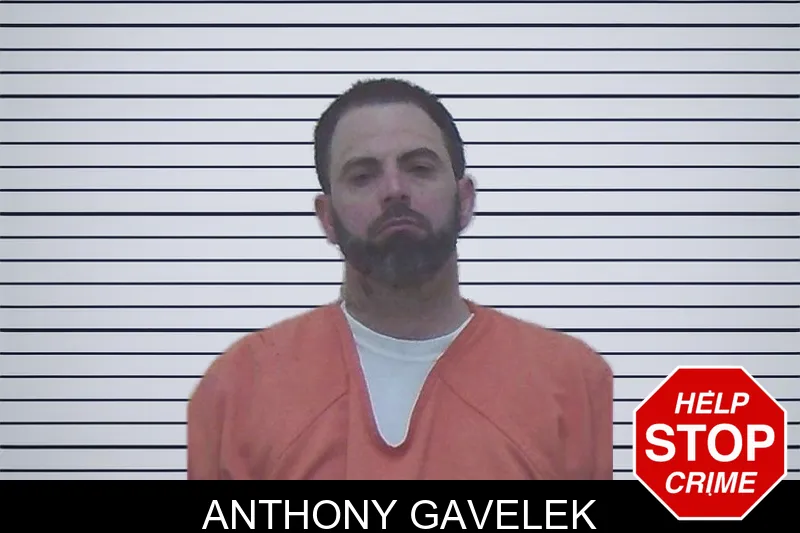 Anthony Gavelek mugshot