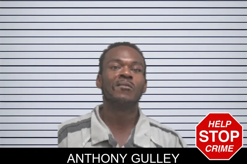 Anthony Gulley mugshot