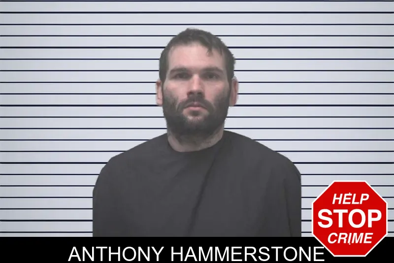 Anthony Hammerstone mugshot