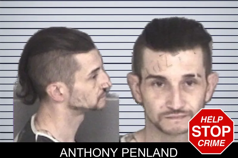 Anthony Penland mugshot