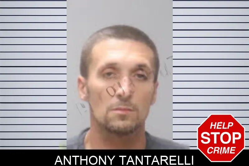 Anthony Tantarelli mugshot