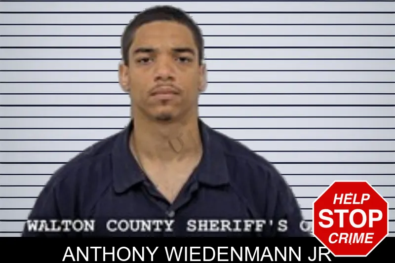 Anthony Wiedenmann Jr mugshot