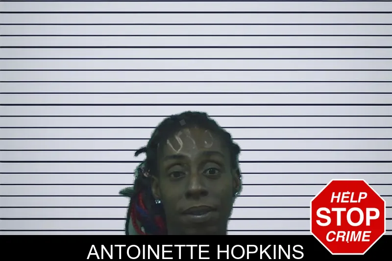 Antoinette Hopkins mugshot