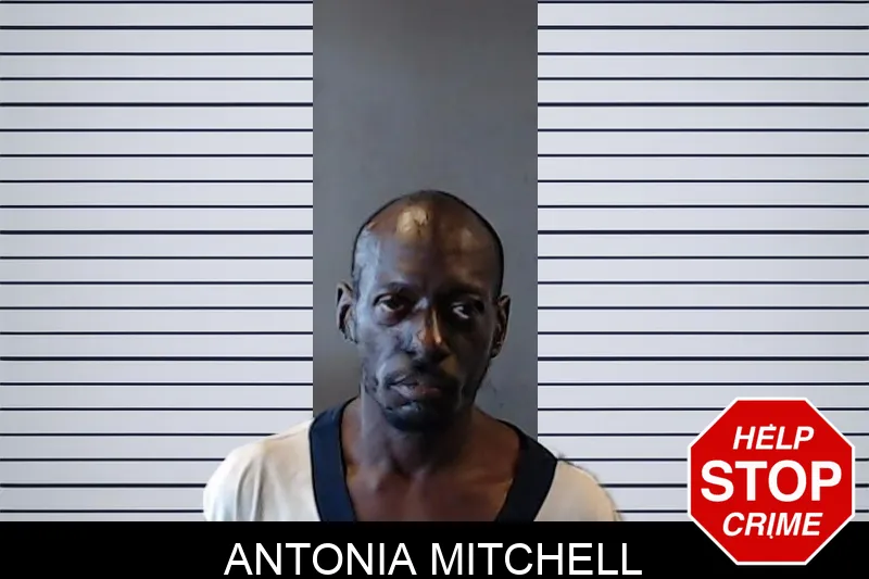 Antonia Mitchell mugshot