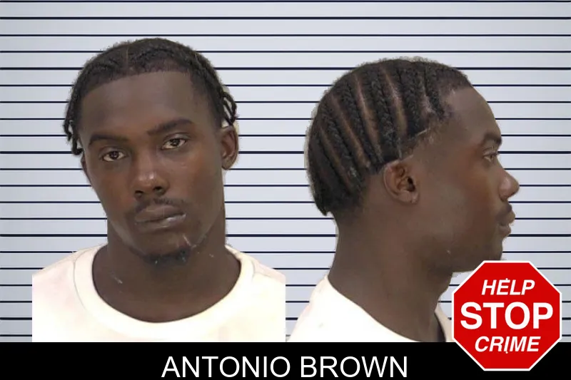Antonio Brown mugshot