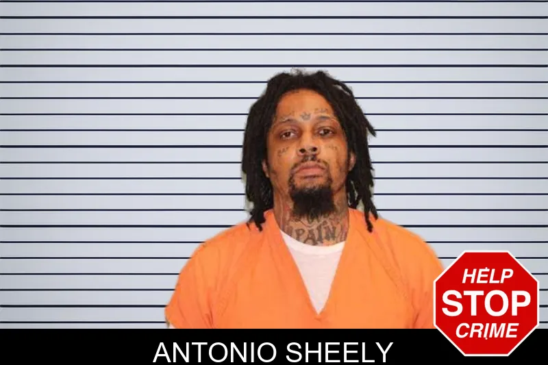 Antonio Sheely mugshot