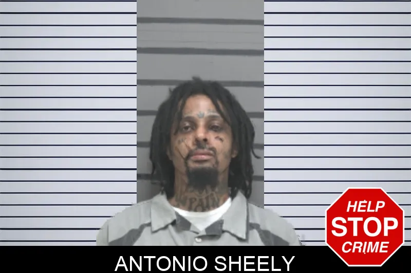 Antonio Sheely mugshot