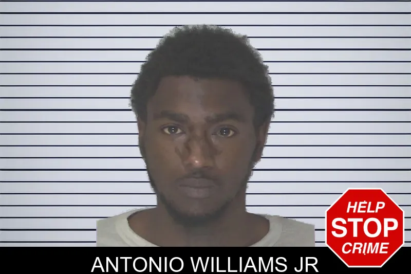 Antonio Williams Jr mugshot