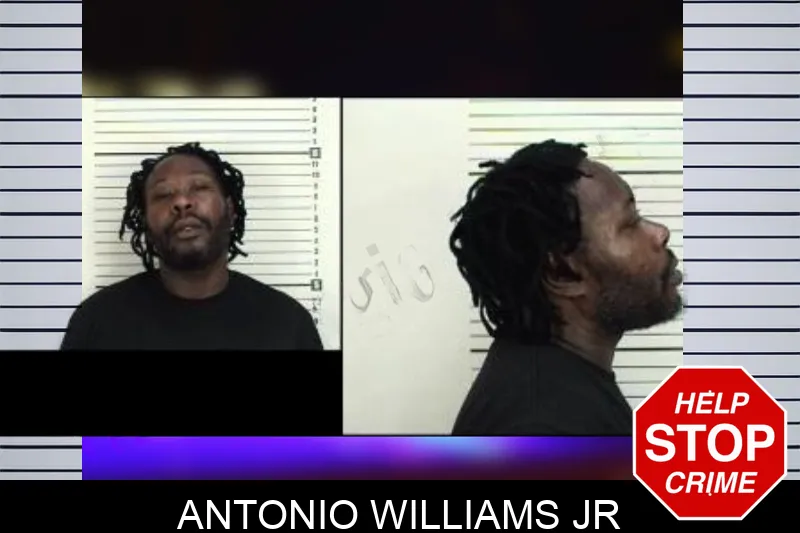 Antonio Williams Jr mugshot