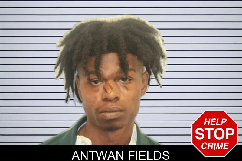 Antwan Fields mugshot