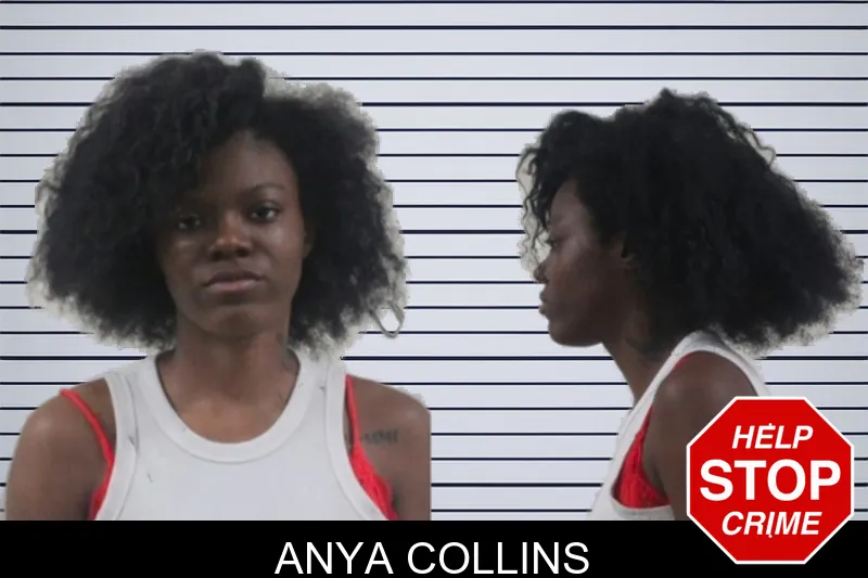 Anya Collins mugshot
