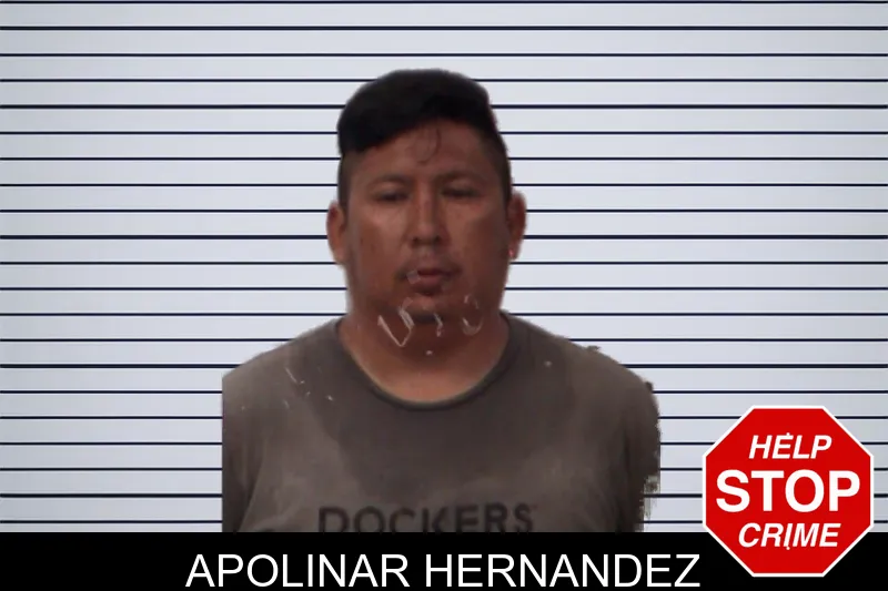 Apolinar Hernandez mugshot