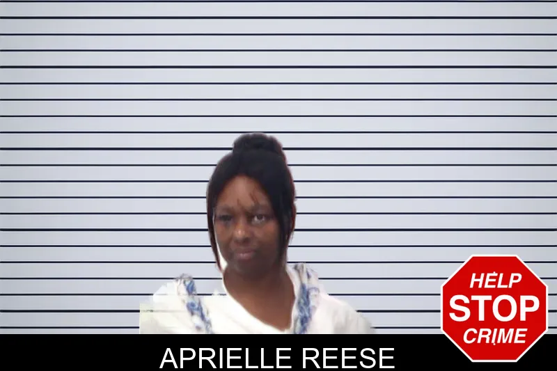 Aprielle Reese mugshot