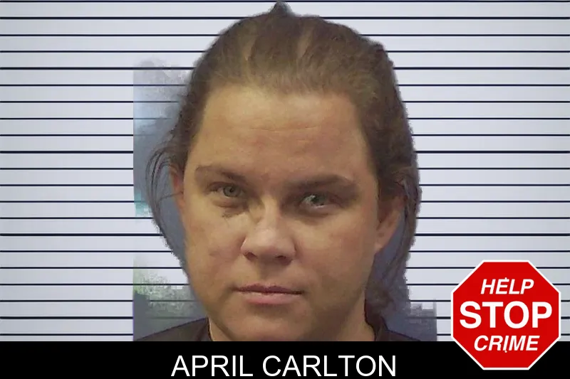 April Carlton mugshot