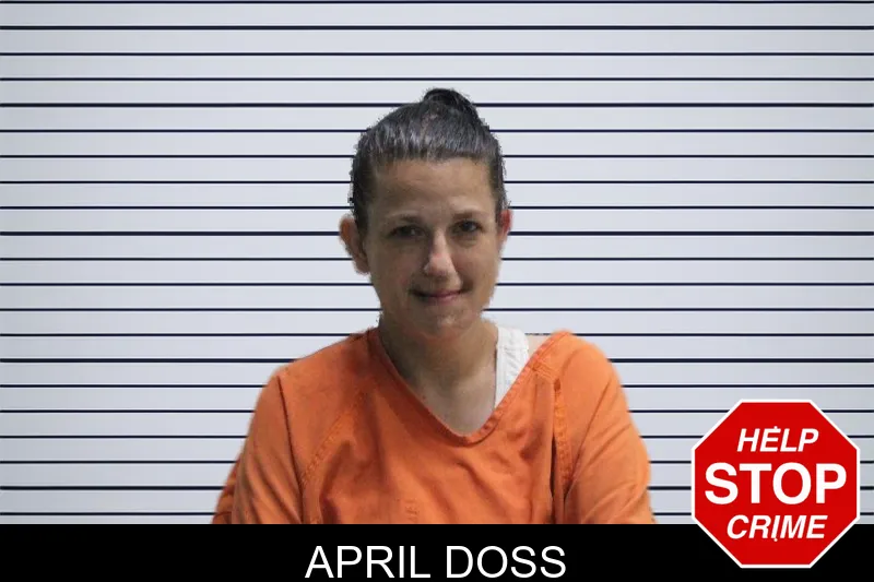 April Doss mugshot