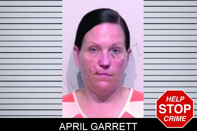 April Garrett mugshot – Bartow County , Georgia April Garrett mugshot