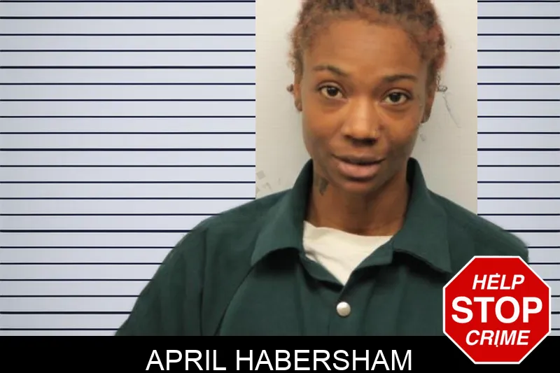 April Habersham mugshot