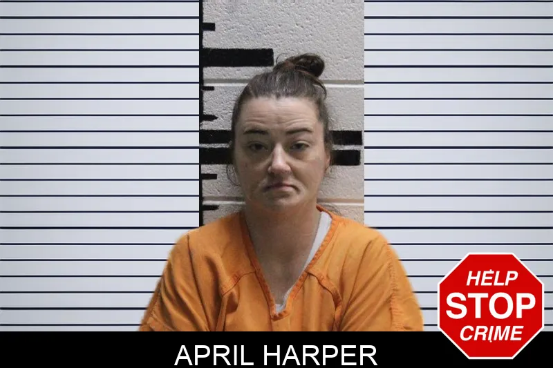 April Harper mugshot