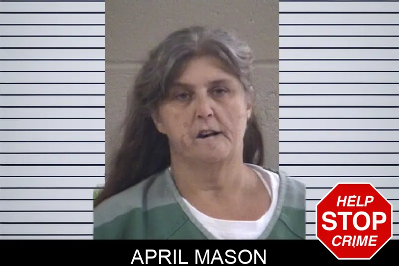 April Mason mugshot