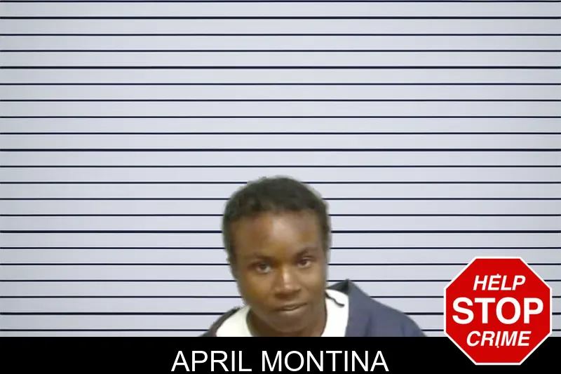 April Montina mugshot