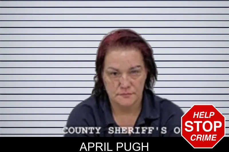 April Pugh mugshot