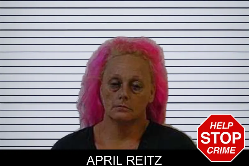 April Reitz mugshot
