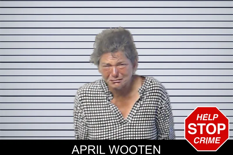 April Wooten mugshot