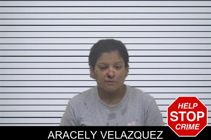 Aracely Velazquez mugshot