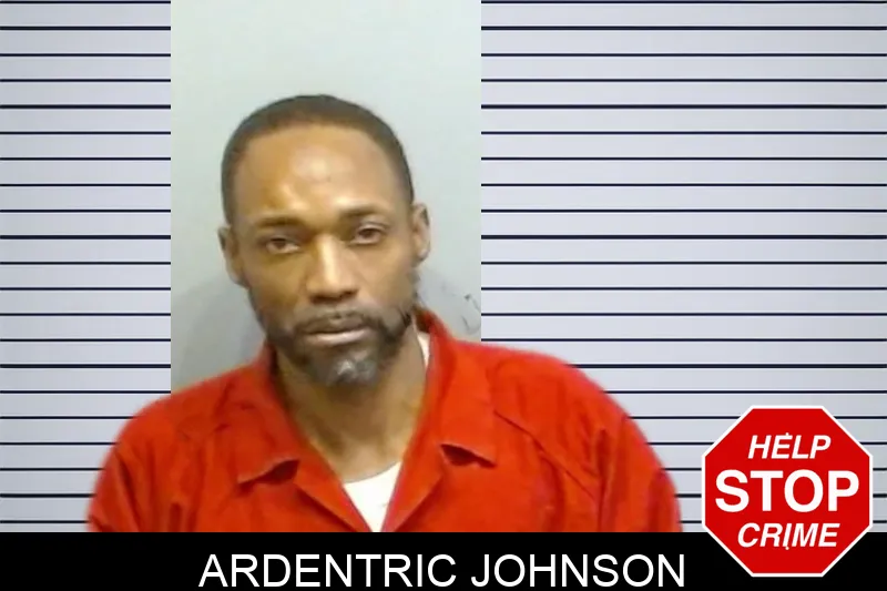 Ardentric Johnson mugshot