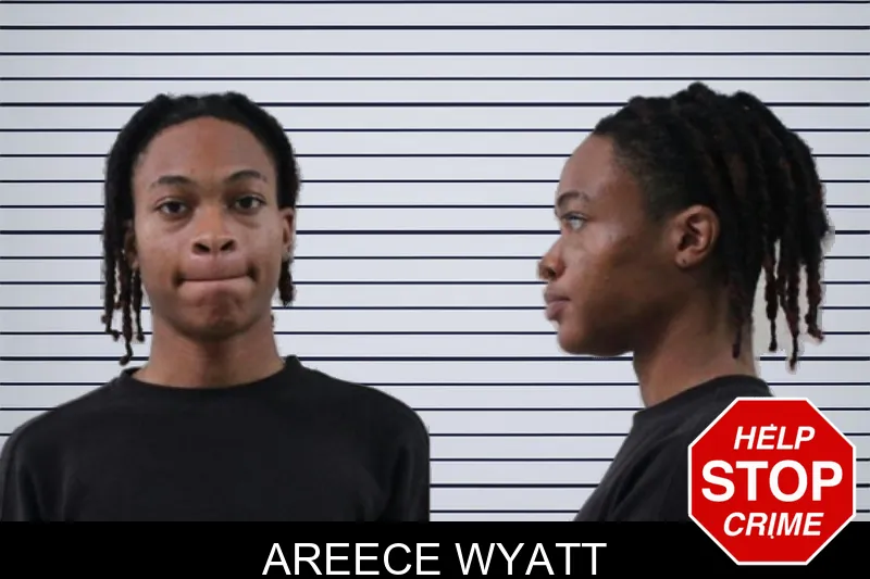 Areece Wyatt mugshot