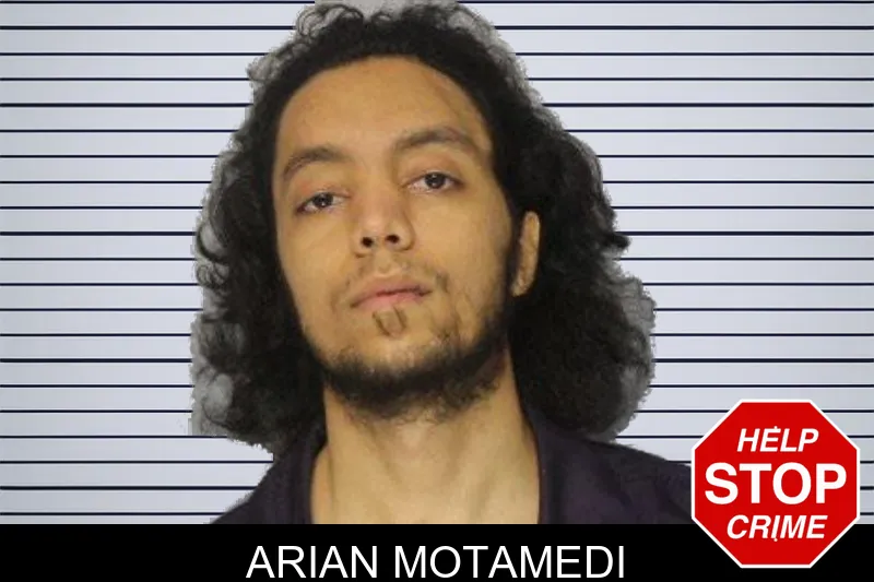 Arian Motamedi mugshot