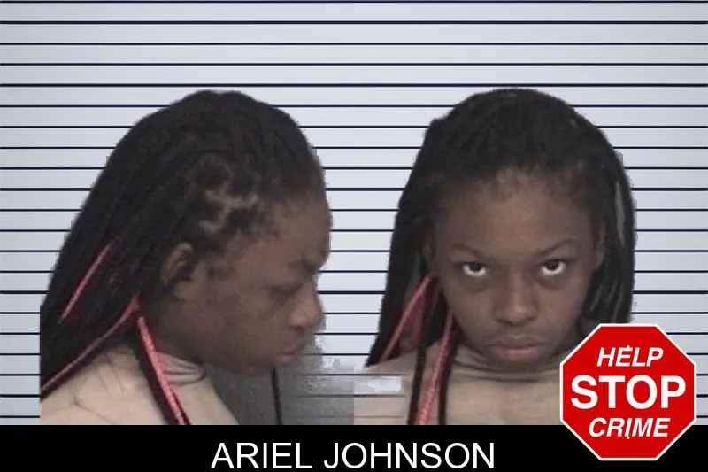 Ariel Johnson mugshot
