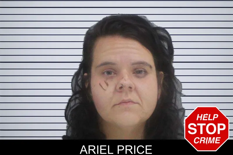 Ariel Price mugshot