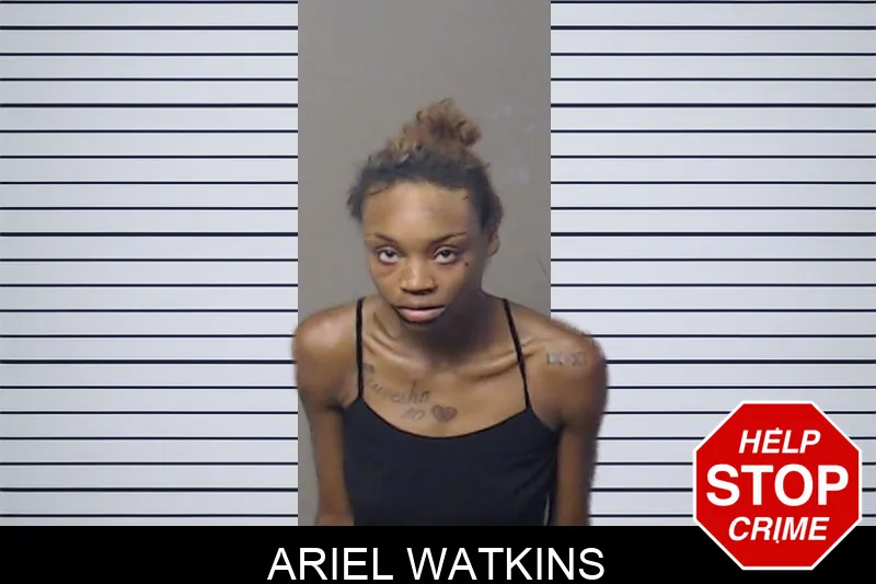 Ariel Watkins mugshot