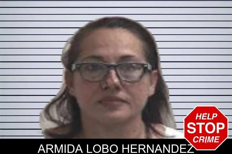 Armida Lobo Hernandez mugshot