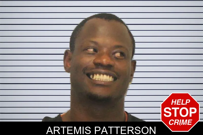 Artemis Patterson mugshot