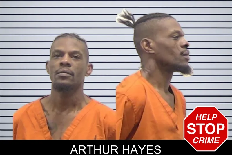 Arthur Hayes mugshot