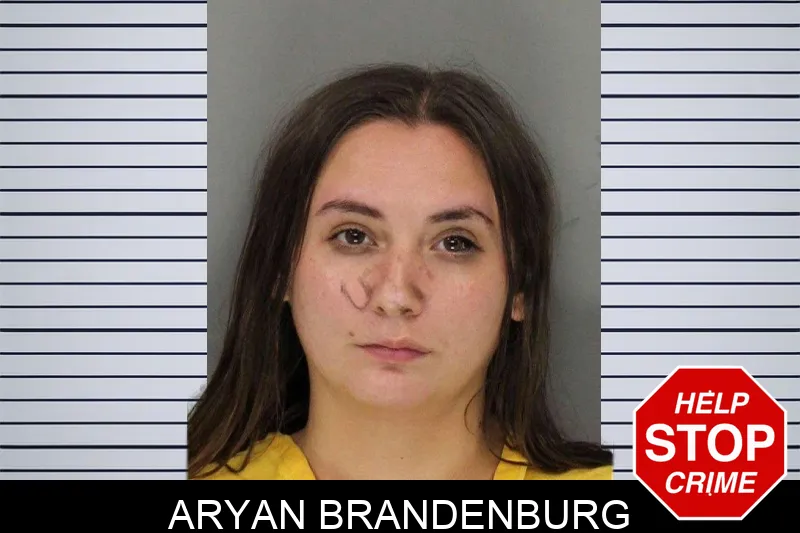 Aryan Brandenburg mugshot