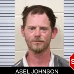 Asel Johnson mugshot
