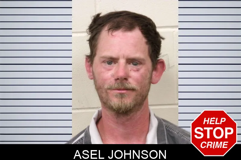 Asel Johnson mugshot