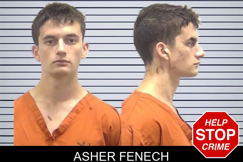 Asher Fenech mugshot