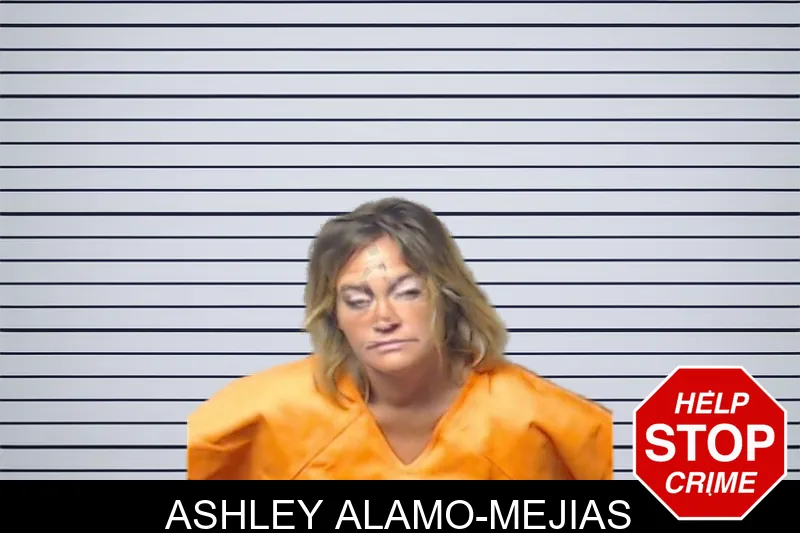 Ashley Alamo-Mejias mugshot