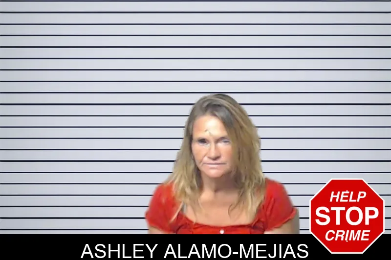 Ashley Alamo-Mejias mugshot