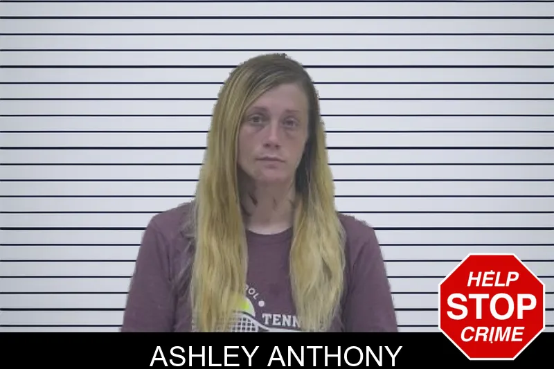 Ashley Anthony mugshot