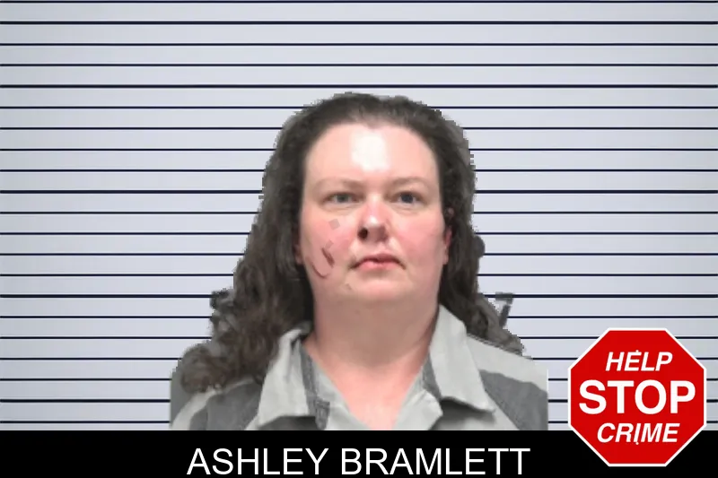 Ashley Bramlett mugshot