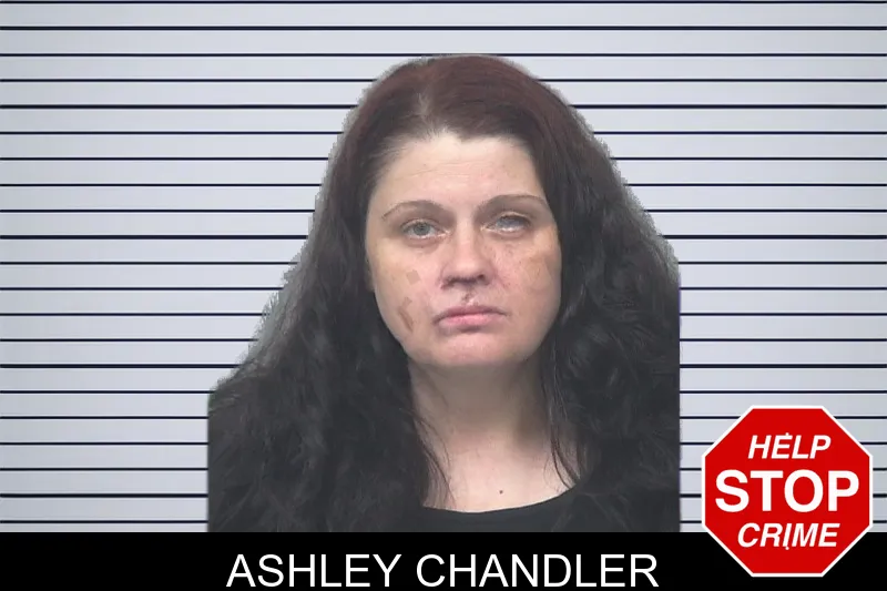Ashley Chandler mugshot