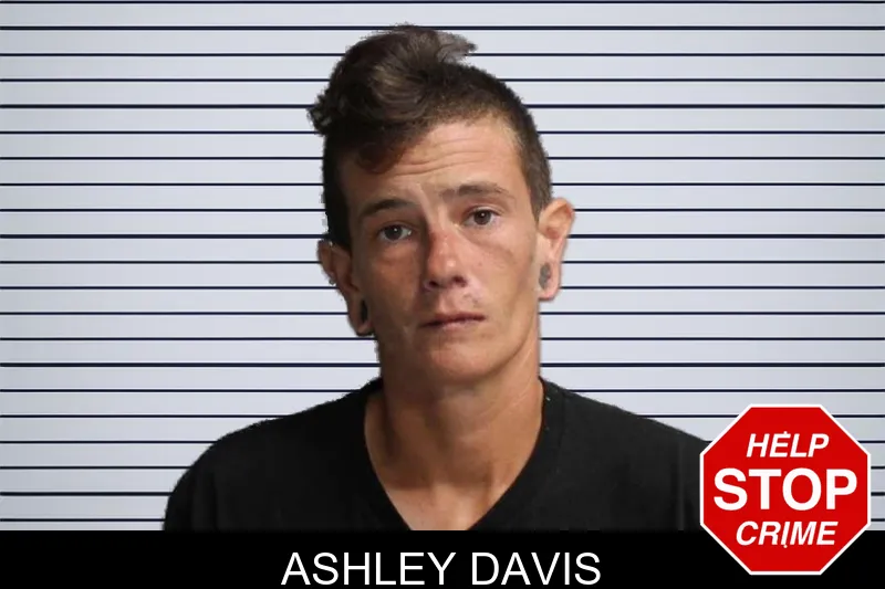 Ashley Davis mugshot