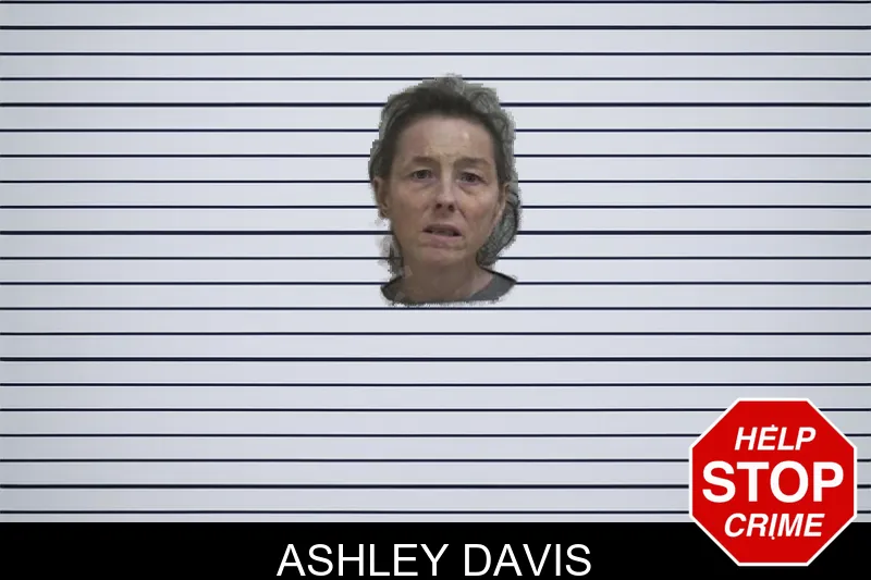 Ashley Davis mugshot